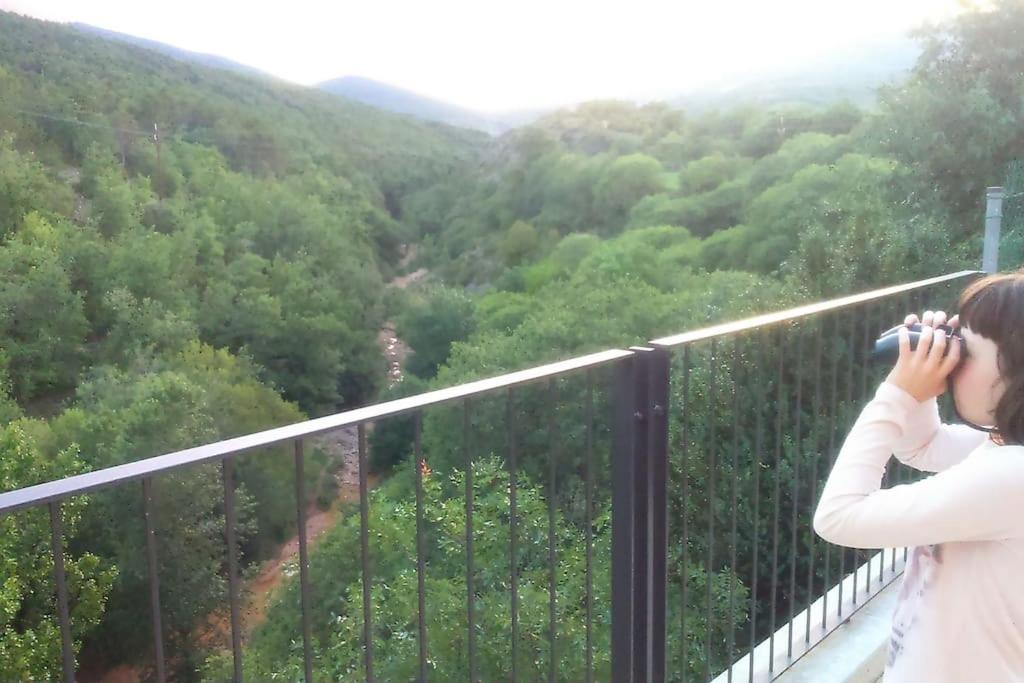 Casa Sapeiro - Allotjament Rural Cellers Kültér fotó